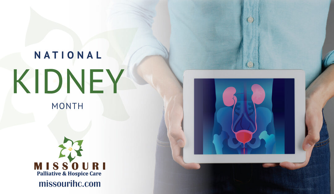 National Kidney Month: Renal Disease
