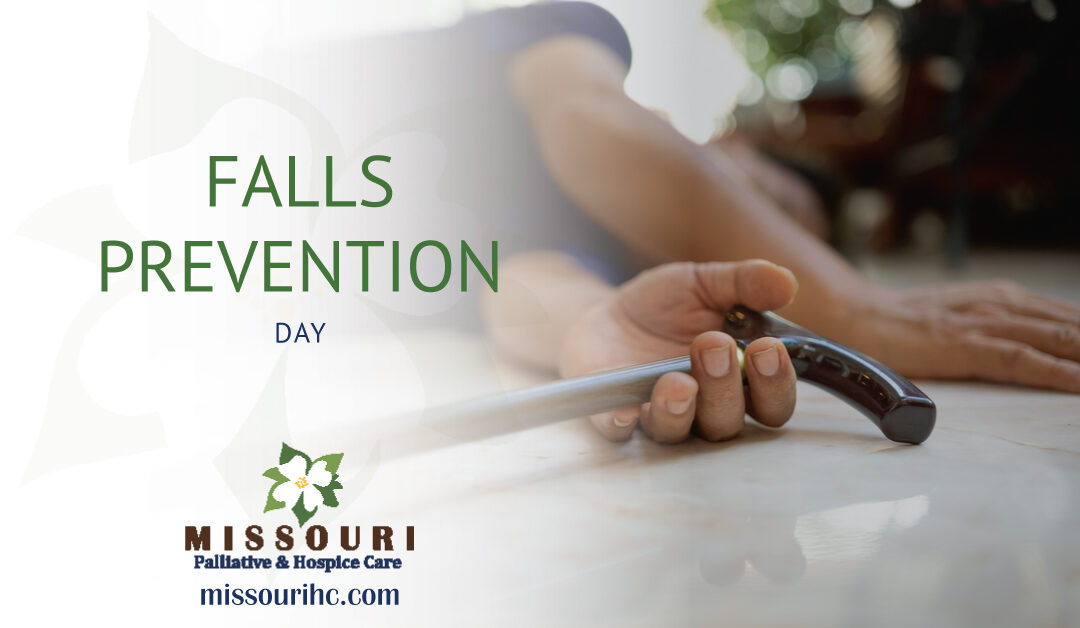 Falls Prevention Day
