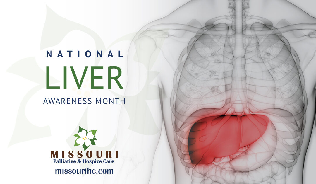 Liver Awareness Month: What You Need To Know